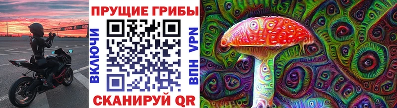 OMG вход  Пыть-Ях  Галлюциногенные грибы Psilocybe 