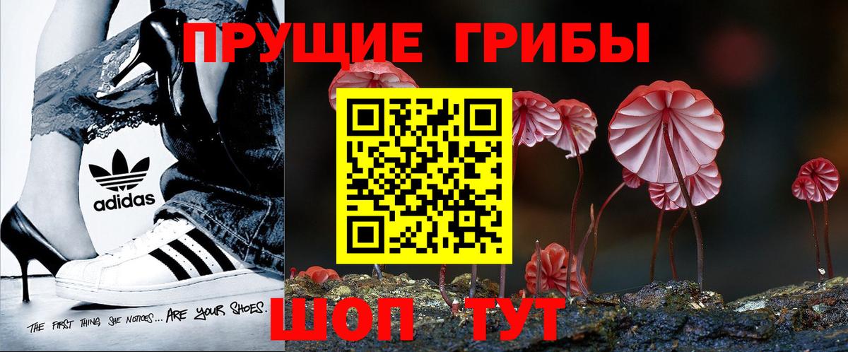Псилоцибиновые грибы Cubensis  Вход с VPN  Пыть-Ях 